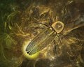 gmorrison_firefly
