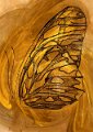 gmorrison_golden_gulf_fritillary