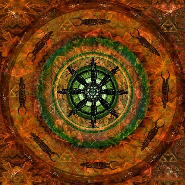 gmorrison_earwig_mandala.jpg - Earwig Mandala