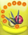 gmorrison_fruit_salad