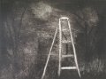 gmorrison_orchard_ladder