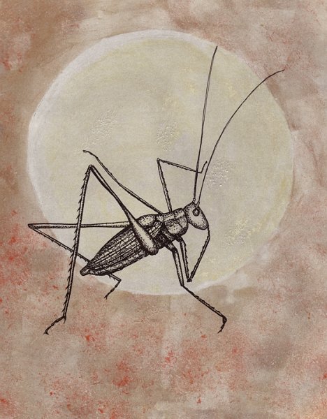 gmorrison_moon_jumper.jpg - Moon Jumper