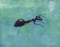 gmorrison_blue_ant