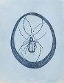 gmorrison_blue_bug_of_happiness
