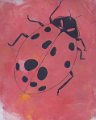 gmorrison_ladybug